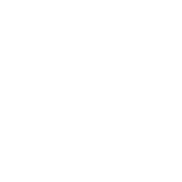 Anitas-Attic-logo-white